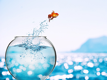 Looking for a Way to Maximize Your Career? Consider Relocation